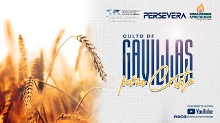 🔥CULTO GAVILLAS PARA CRISTO 🔥 [upl. by Salomie]