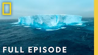 Antarctica Home at the End of the Earth Full Episode  Incredible Animal Journeys [upl. by Khalin901]