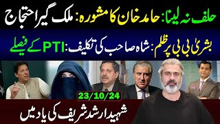 PTI Decision Protests Across County  Bushra Bibi Case  Imran Riaz Khan VLOG [upl. by Harman]