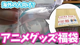 これがアニメグッズセット！？海外の人向けっぽいLucky bag（福袋）開けてみた [upl. by Boykins]