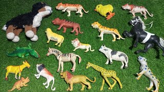 wild animals lion tiger dog cow horse crocodile zebra giraffe sheep dinosaur [upl. by Richmond]