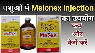 Melonex  Melonex injection  Melonex injection use for cow buffalo goat sheep birds dog cat [upl. by Ainej353]