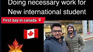 Vlog 2 l day 1 in canada 🇨🇦 l important thing for new international students [upl. by Teece]