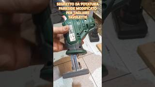 Seghetto da potatura Parkside modificato e potenziato con batteria da moto fiamm 12 Ah [upl. by Goodhen]