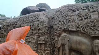 மஹாபலிபுரம் சிற்பக்கலைகள்  Mahabalipuram vlog mahabalipuram vlog mpmeditzz sculpture [upl. by Means459]