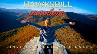 Hawksbill Mountain  Best Places to See Fall Colors in the Southeast [upl. by Blum27]