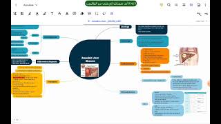 Amoebic liver MED1 41 [upl. by Ailenroc269]