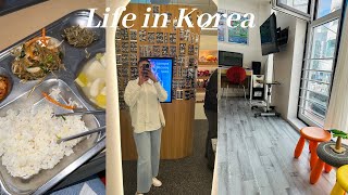 A day in my life as an English teacher in South Korea  Foreigner in Korea  Daily life [upl. by Greenman]