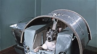 Animales en el Espacio La increíble Aventura de los Perros Astronautas en el espacio [upl. by Helmer]