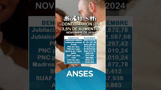 Se confirmó un 35 de aumento de Anses para noviembre de 2024 anses [upl. by Laerdna]