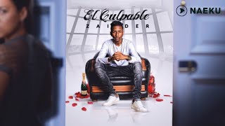 Zaider  El Culpable Audio Oficial [upl. by Eecram]