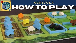 How to Play Agricola in under 10 minutes [upl. by Bhayani]