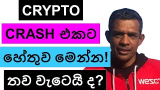 CRYPTO FLASH CRASH  THIS IS THE REAL REASON  WILL IT CONTINUE [upl. by Dinah]