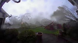 Every tree in this Michigan yard came down during tornado conditions [upl. by Sidoon]