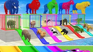 DONT CHOOSE The WRONG WATERSLIDE With Elephant Cow Tiger Gorilla Escape Room Challenge Cage Game [upl. by Dione]