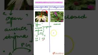 Chasmogamous vs Cleistogamous flowers [upl. by Clower]