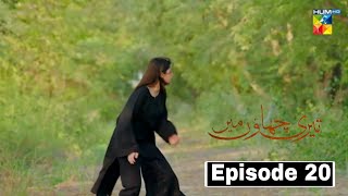 Teri Chhaon Mein Episode 20 Promo  Teri Chhaon mein Episode 20 Treaser  3rd Oct 2024  Full Review [upl. by Holmann]