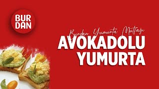 Avokadolu Yumurta Nasıl Yapılır  Burdan Yumurta Mutfağı [upl. by Larok]