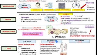 infecciones congénitas  TORCHs RESUME [upl. by Ecyor]