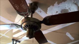 Ceiling Fans in my House Updated [upl. by Naomi526]