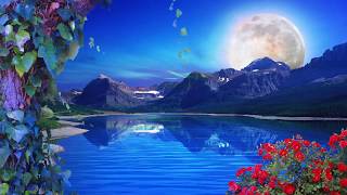 Nature Background Loop  Free Background  HD  60 fps [upl. by Bruell469]