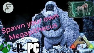 Ark Survival Evolved How to spawn a Megapithecus [upl. by Gardener]