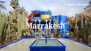 Majorelle Gardens Part One  Marrakeshs most visited attraction [upl. by Rhoades]