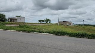 Vendese 3 Lotes de 10 Por 30 Valor 105 Mil Passira Pernambuco [upl. by Ynehpets]