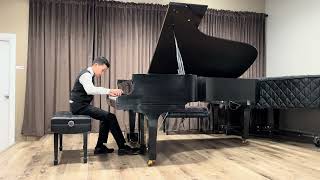 Aiden Shim  Beethoven Pathetique 1st movement at MTAC Recital 20241109 [upl. by Jeanelle142]