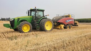 Baling Triticale straw with John Deere 8320R and New Holland 340 Plus Bigbaler [upl. by Kalvin390]