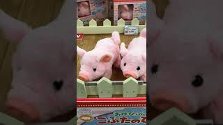 Oinking Piglet Plush [upl. by Anelahs471]