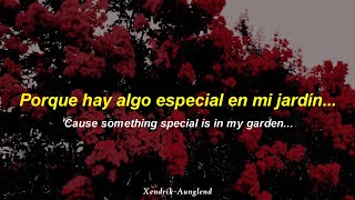 Barrington Levy  Black Roses  Español  Inglés  HD [upl. by Ahsini789]