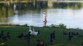 Fly Fishing  Riverfront Park Billings MT [upl. by Eevets229]