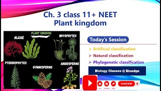 NCERT Class 11 Plant classification [upl. by Candy]