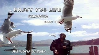 JIM WOWA GATSBY  ENJOY YOU LIFE PART II AKAROA  NEW ZEALAND  INSTRUMENTAL VERSION [upl. by Wieren775]