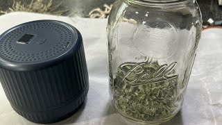 ✨Preserving my herbs 🪴 using my mason jar vacuum sealer for the first time 🫙 Review after 1st use✨ [upl. by Bowie]