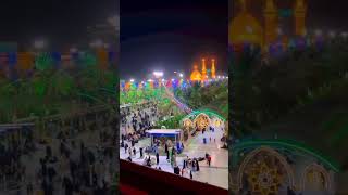 Dil mein Nabi ki yad nahin Tera jama liya🤲🌹👍 [upl. by Tahp913]