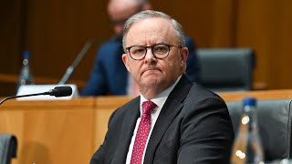 Labor scrapping its misinformation bill is ‘extremely embarrassing’ [upl. by Aecila942]