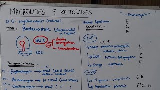 Macrolides and Ketolides [upl. by Spector499]