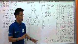 IFern Hybrid Marketing Plan Part 3 Five Star Alliance [upl. by Christabella]