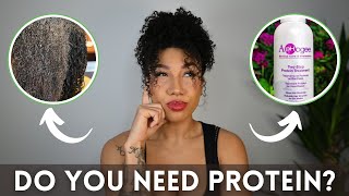 Should Low Porosity Hair Use Protein [upl. by Cordey]