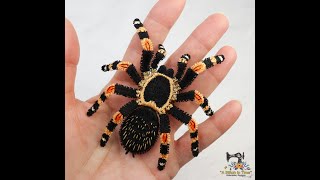 ASIT FSL Red Knee Tarantula instruction video [upl. by Yllet]