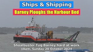 Shoalbuster Barney ploughs the Harbour Bed 10am Sunday 20 October 2024 [upl. by Turrell]