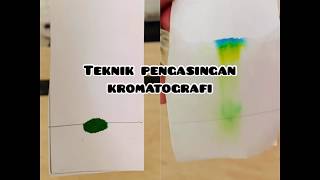 SAINS TINGKATAN 1  BAB 6 Teknik Pengasingan Kromatografi [upl. by Asiram]