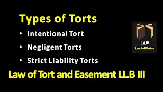 Types of Tort  Law of Torts and Easement [upl. by Cumine]