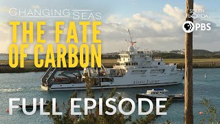 The Fate of Carbon  Full Episode [upl. by Ecnerwal]