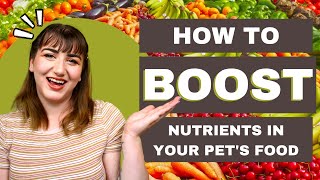 6 Ways to Boost Nutrients in Your Pets Food No Matter What Youre Feeding [upl. by Oinotnanauj805]