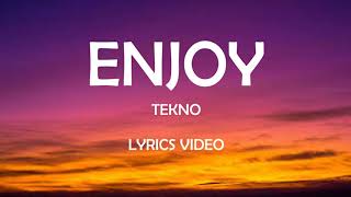 Tekno  Enjoy Lyrics Video [upl. by Lothar]