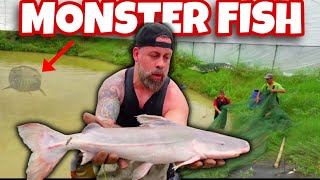 WE got ACCESS to a SECRET MONSTER FISH BREEDING Farm RARE FOOTAGE [upl. by Bergman]