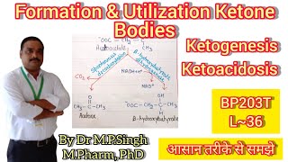 Formation amp Utilization of Ketone Bodies  Ketogenesis  Ketoacidosis  Biochemistry  BP203T  L36 [upl. by Macfadyn185]